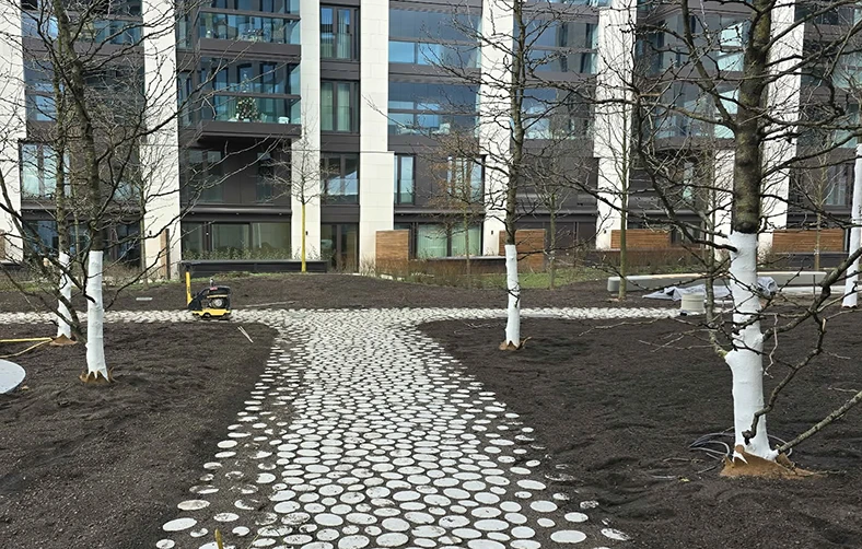 Neu gepflanzte Bäume entlang eines Kieswegs in einer Wohngegend.