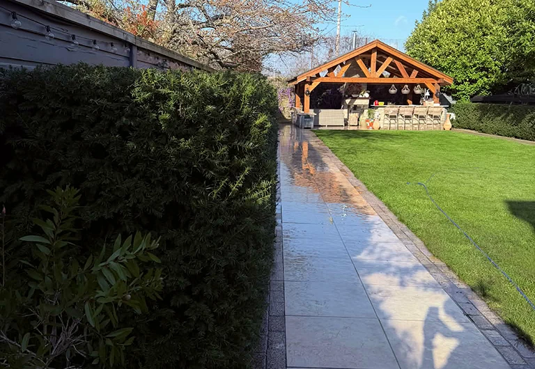 Lawn Care & Maintenance