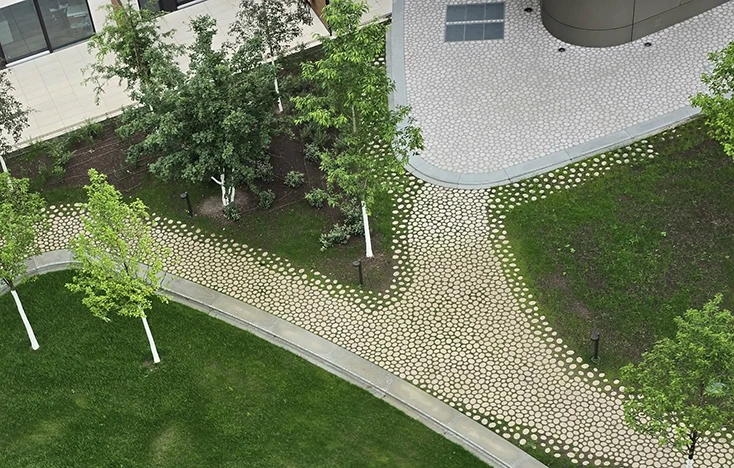 Grüner Garten mit Kiesweg in einer Nachbarschaft.